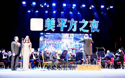 2013年新春音乐会.jpg